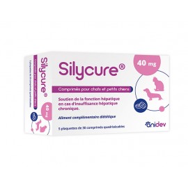 SILYCURE 40 mg - 1 boite de...