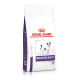 ROYAL CANIN EHN CHIEN Neutered Adult Small