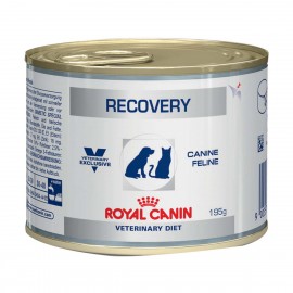 ROYAL CANIN Chien/ Chat RECOVERY - plateau de 12 boîtes