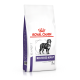 ROYAL CANIN EHN CHIEN Neutered Adult Large