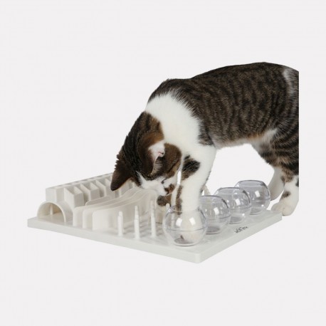 JOUET FUN BOARD CHAT JOUET FUN BOARD CHAT