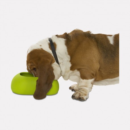 GAMELLE BOWL 1 L pour grandes Z'oreilles GAMELLE BOWL 1 L pour grandes Z'oreilles