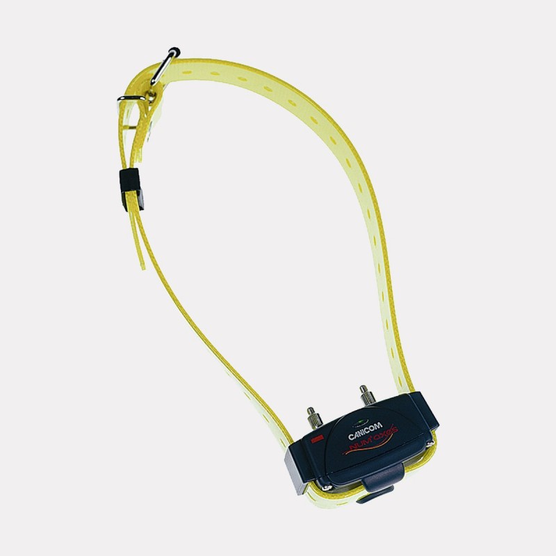 COLLIER SUPP JAUNE/CANICOM 800