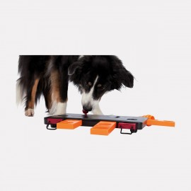 JOUET CHIEN MOVE2WIN