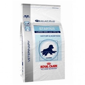 ROYAL CANIN Chien PEDIATRIC STARTER LARGE