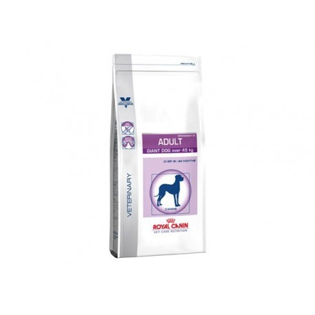 ROYAL CANIN Chien ADULT GIANT ROYAL CANIN Chien ADULT GIANT