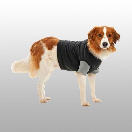 Medical pet shirt – gilet de protection pour chat