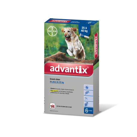ADVANTIX grand chien / 6 pipettes ADVANTIX grand chien / 6 pipettes