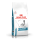 ROYAL CANIN CHIEN Anallergenic