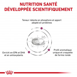 Royal Canin Chat Renal Sac De 400 G