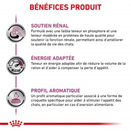 Royal Canin Chat Renal Sac De 400 G