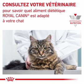 Royal Canin Chat Renal Select Sac De 400 G