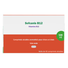 Sofcanis B12 - 40 comprimés