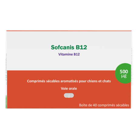 Sofcanis B12 40 Comprimes
