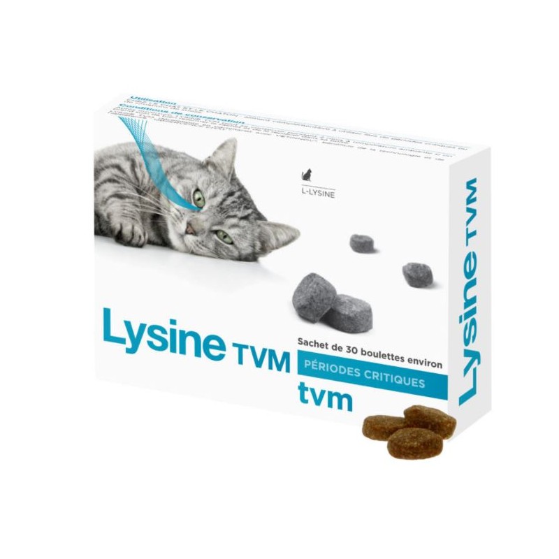 Lysine Tvm 1 Boite De 30 Boulettes De 2 G